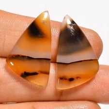 Montana Agate Fancy Cabochon