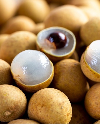 Pianta longan dimocarpus - di,