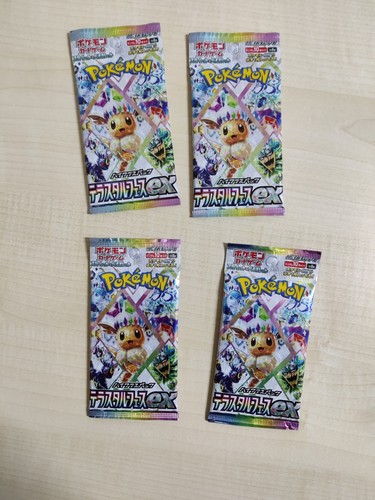 Pokémon terastal festival - pokémon,