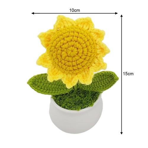 Pianta per girasole - in,