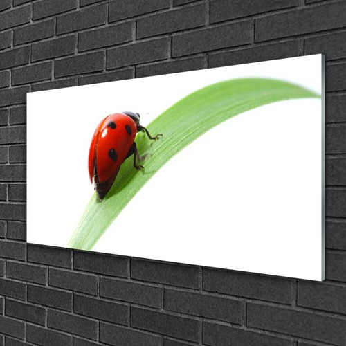 Immagine arte parete vetro - arte,