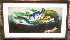 VINCENZO VOLPICELLI - PESCI E