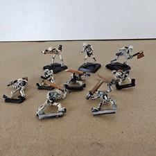 x9 Miniature Arlecchino anni