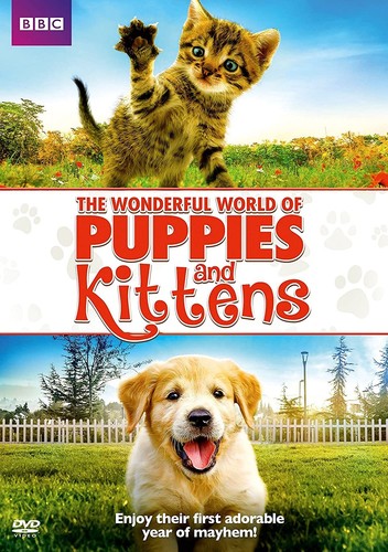 Dvd family wonderful world - dvd,