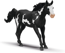 14900 Caballo Capón Paint