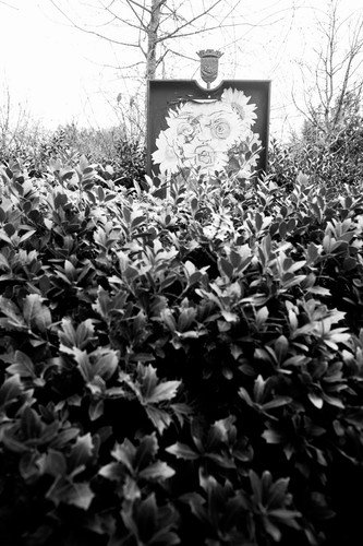 Foto artistica bianco - in, e
