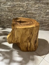 Olivewood Ceppo Tronco Sezione