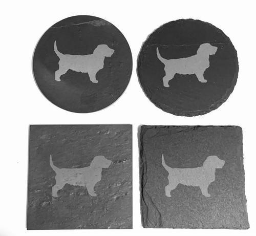 Basset fauve bretagne - de,