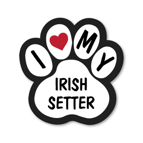 Love irish setter car van - my,
