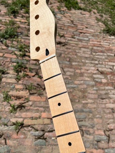 Basso elettrico acero colore