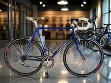 Bici da strada Gazelle Race