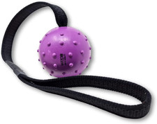 - Gioco per Cani, Pallina Con