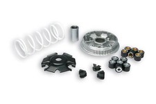 VARIATORE MALOSSI 5115639