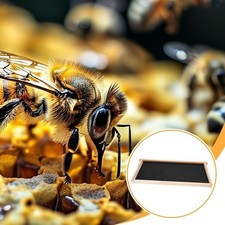 Telaio per arnia Forniture per