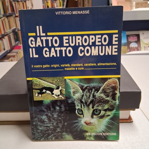 Gatto europeo il - e,