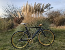 Aventon Mataro - Custom Fixie