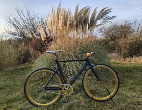 Aventon mataro custom fixie - mataro,