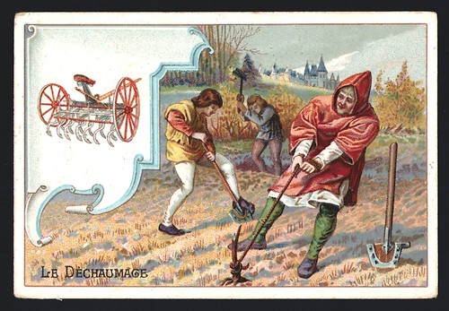 Figurina cicoria secolo - figurina,