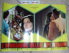 locandina film - L'INVASIONE DELLE API REGINE - (47X67)