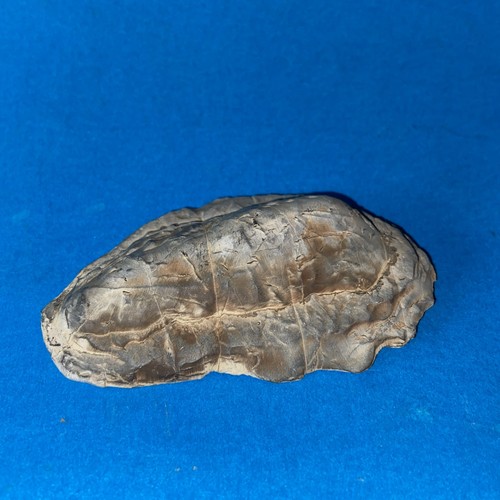 Pietra naturale suiseki