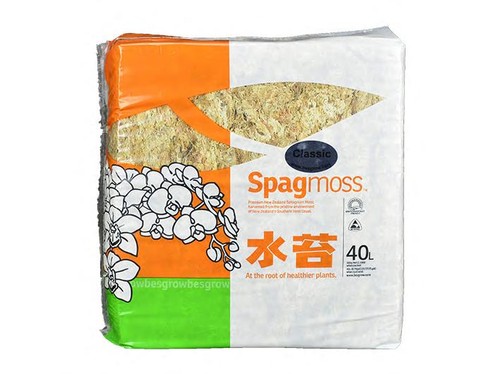 Sfagno neozelandese fibre - neozelandese,