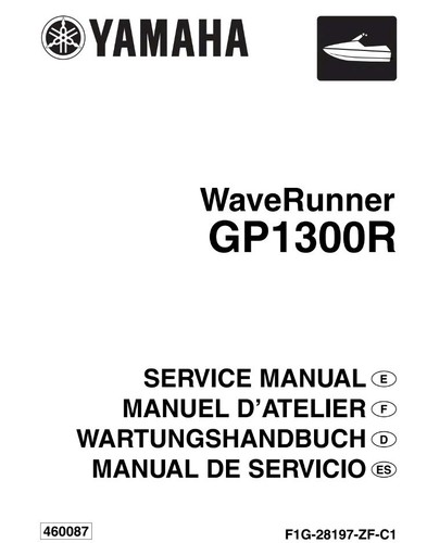 Manuale recensione riparazione - manuale,