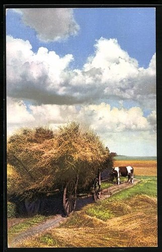 Cartolina artista fotocromia - cartolina, d'artista