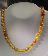 AM Natural Dominican Amber