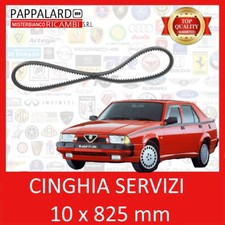 Cinghia servizi - cinghia,