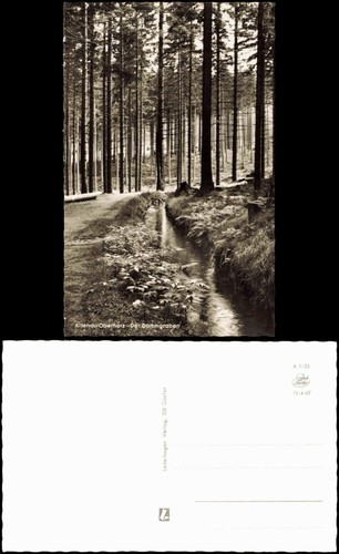 Cartolina