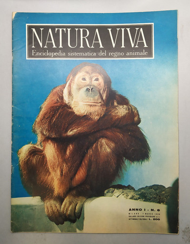 Natura viva enciclopedia - viva,