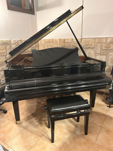 Pianoforte mezza coda - mezza,