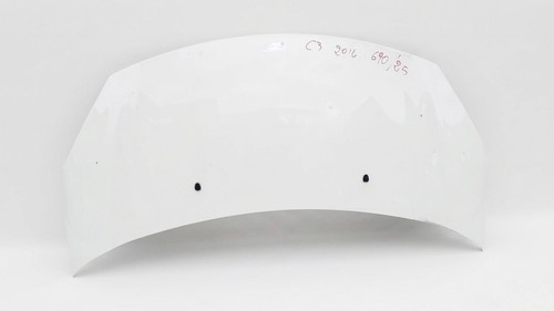Cofano anteriore bianco - cofano,