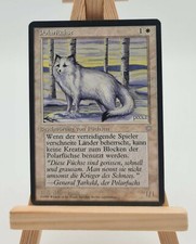 Volpi Polari Era Glaciale