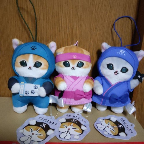 Sand ninja nyan mascotte - sand,