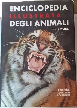Enciclopedia illustrata degli - enciclopedia,