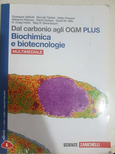 Dal carbonio agli ogm plus - carbonio,