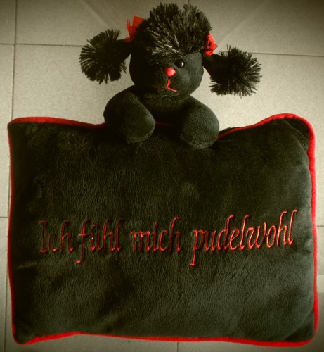 Cuscino barboncino peluche - barboncino,