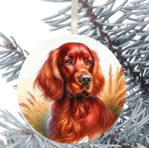 Setter rosso decorazione - rosso,