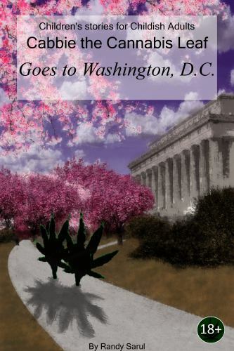 Political geography flyer - political,