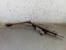 CANNA DELLO STERZO (PIANTONE)