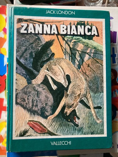 Zanna bianca jack - zanna,