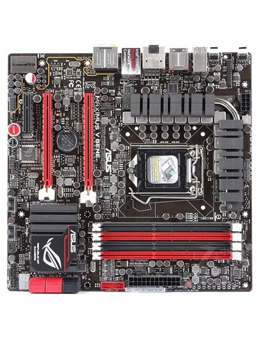 Per asus maximus gene - asus,