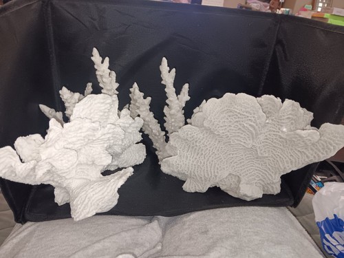 Sculture corallo - sculture, in