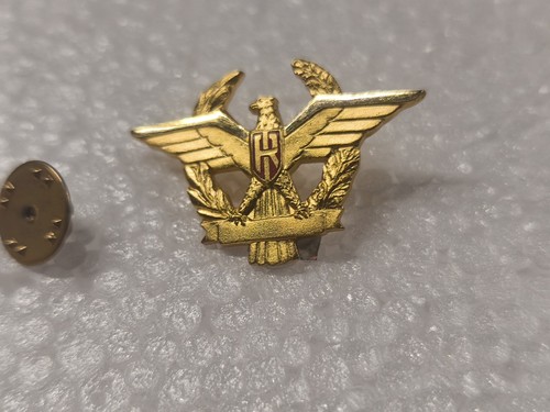 Badge pin distintivo militare - badge,