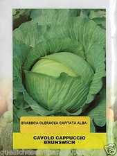  500 SEMI DI CAVOLO CAPPUCCIO