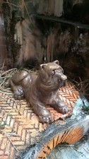Mastino napoletano in