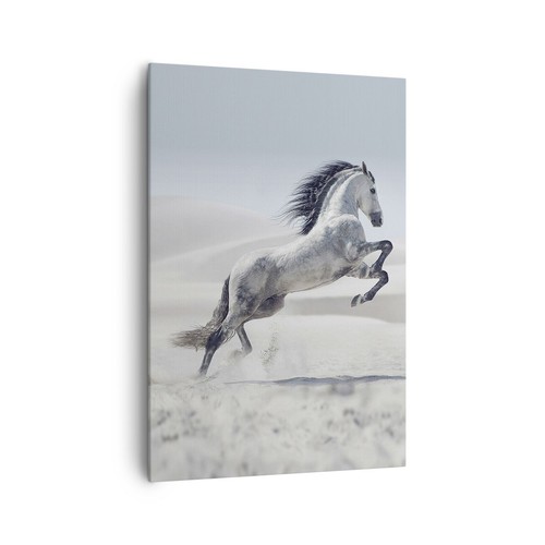 Quadro tela 70x100cm - su,