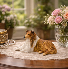 Border fine arts rough collie - border,