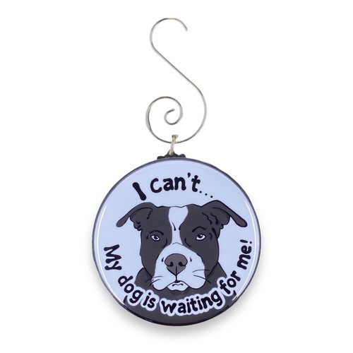 Tuxedo pit bull terrier mini - pit,